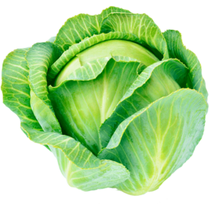 Cabbage